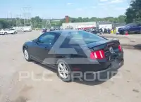2010 Ford MUSTANG фото