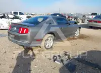 2010 Ford MUSTANG фото