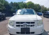 2010 Ford ESCAPE фото