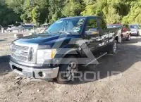 2010 Ford F-150 фото
