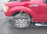 2010 Ford F-150 photo