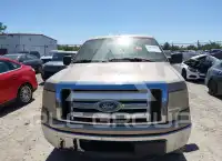 2010 Ford F-150 photo