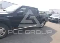 2010 Ford F-150 photo