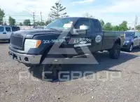 2010 Ford F-150 photo