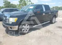 2010 Ford F-150 photo