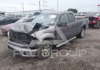 2010 Ford F-150 photo