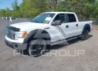 2010 Ford F-150 photo