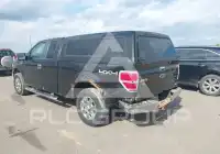 2010 Ford F-150 photo