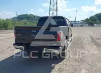 2010 Ford F-150 фото