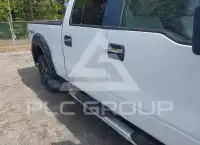 2010 Ford F-150 photo