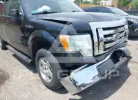 2010 Ford F-150 photo