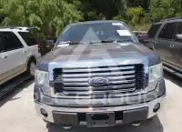 2010 Ford F-150 фото