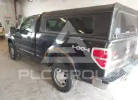 2010 Ford F-150 фото