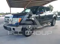 2010 Ford F-150 photo