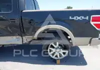 2010 Ford F-150 photo