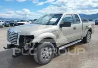 2010 Ford F-150 photo
