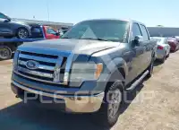 2010 Ford F-150 photo