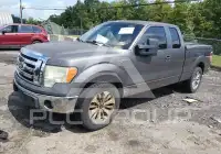 2010 Ford F-150 photo