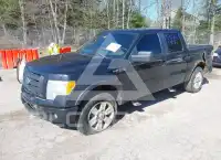2010 Ford F-150 photo