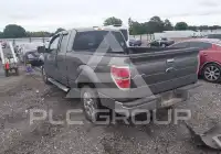 2010 Ford F-150 photo
