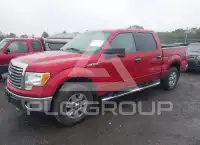 2010 Ford F-150 photo
