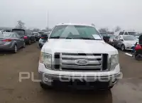 2010 Ford F-150 photo