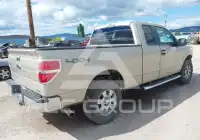 2010 Ford F-150 photo