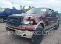 2010 Ford F-150 photo
