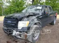 2010 Ford F-150 фото