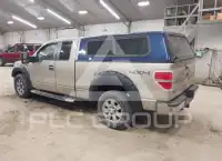 2010 Ford F-150 фото