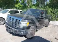 2010 Ford F-150 photo