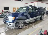 2010 Ford F-150 фото