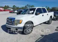 2010 Ford F-150 photo