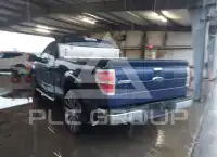 2010 Ford F-150 photo