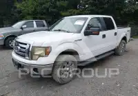 2010 Ford F-150 photo