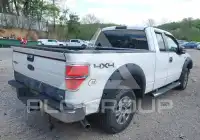 2010 Ford F-150 photo
