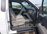 2010 Ford F-150 photo