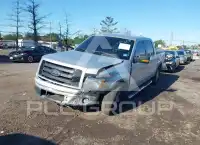 2010 Ford F-150 photo