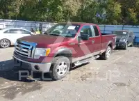 2010 Ford F-150 photo