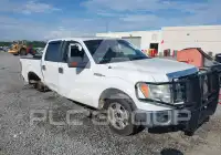 2010 Ford F-150 фото