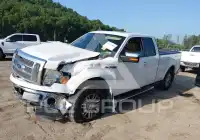 2010 Ford F-150 photo