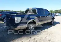 2010 Ford F-150 photo