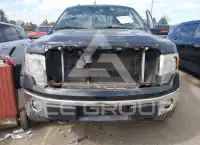 2010 Ford F-150 фото
