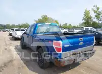 2010 Ford F-150 photo