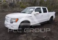 2010 Ford F-150 фото