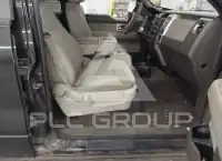2010 Ford F-150 photo