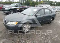 2010 Hyundai Sonata фото