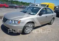 2010 Hyundai Sonata фото