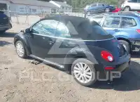 2010 Volkswagen BEETLE фото