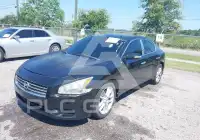 2011 Nissan MAXIMA photo